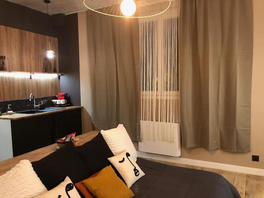 Mâcon Le Tulum, T2, Hyper-Centre, Place Aux Herbes מראה חיצוני תמונה